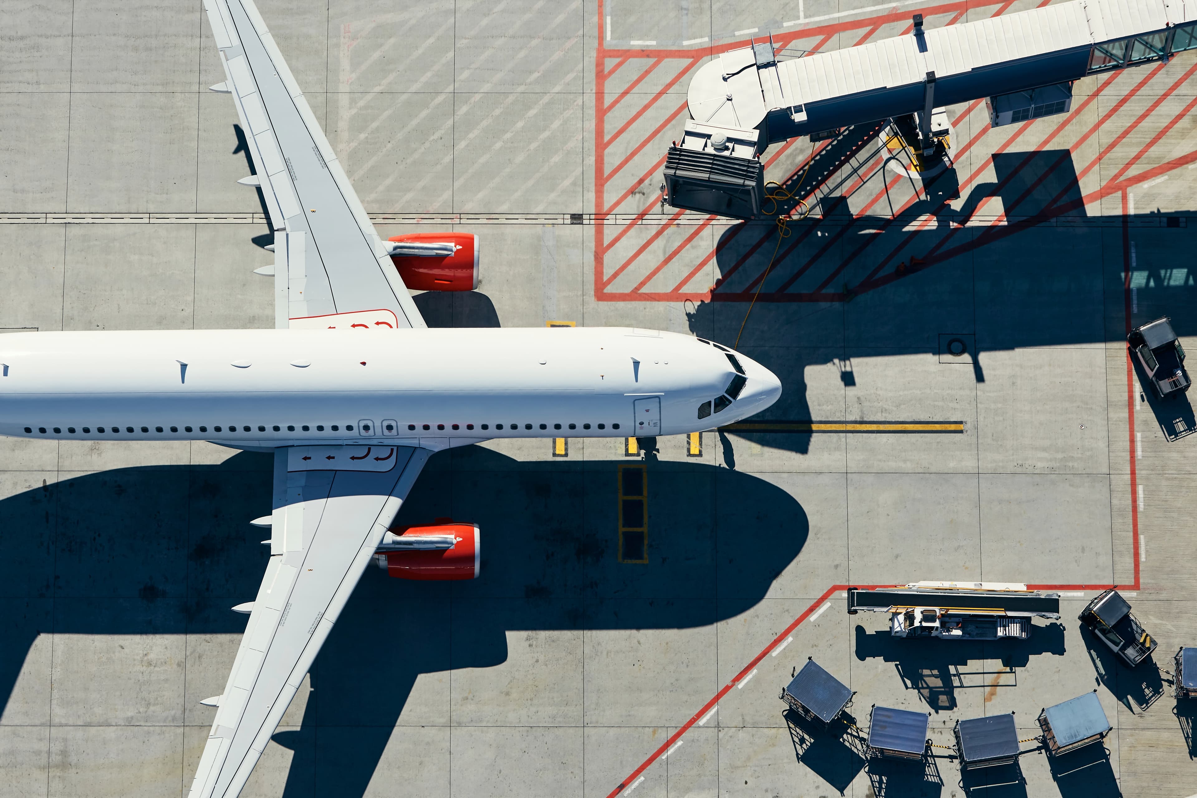 freight-forwarder